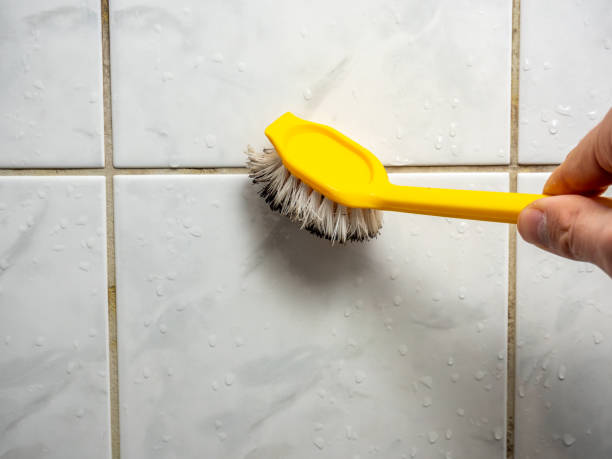 Best Mold Testing  in Cottonwood Heights, UT