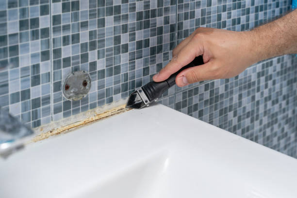 Best Mold Damage Repair  in Cottonwood Heights, UT