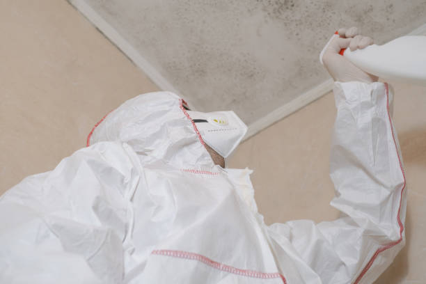 Office Mold Removal Services in Cottonwood Heights, UT